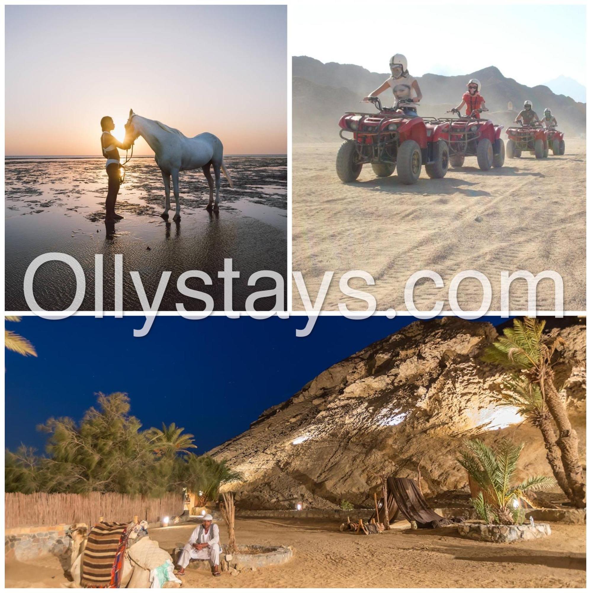 Ollystays Mangroovy Seaview 2Br Beach And Pool Free Access Hurghada Eksteriør bilde